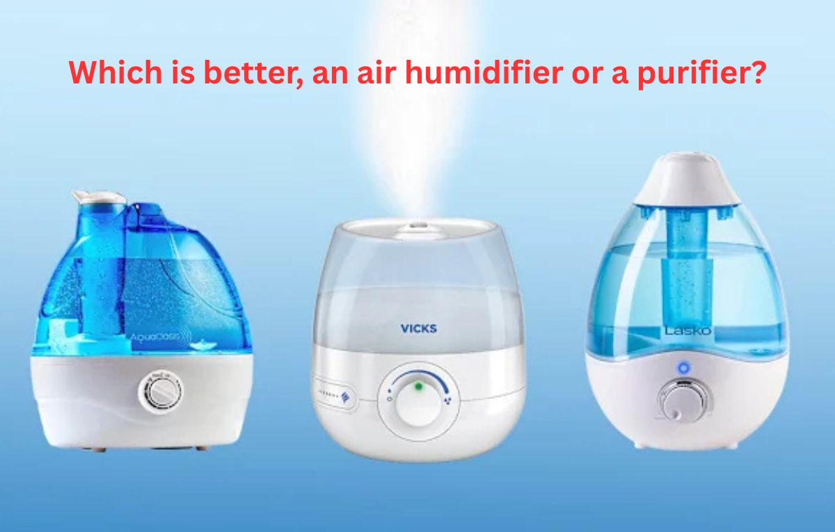 Which is better, an air humidifier or a purifier?